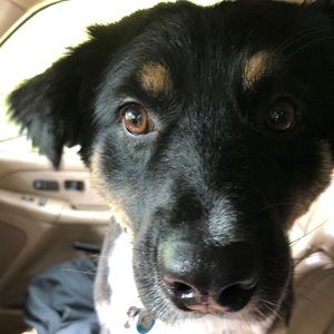 Meet your Posher, Mark